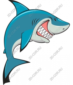  Ferocious Shark