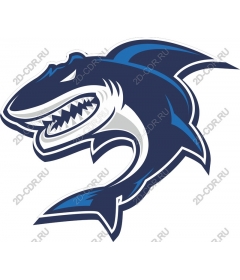  Ferocious Shark