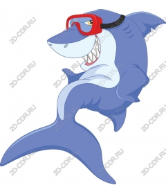  A playful shark