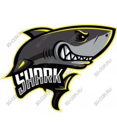  Ferocious Shark