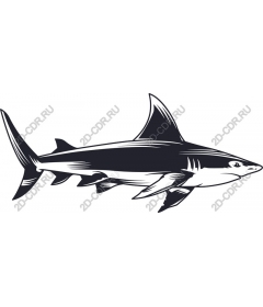  Stylized shark