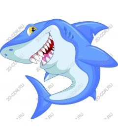  Bizarre cartoon shark