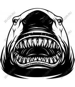  Ferocious Shark