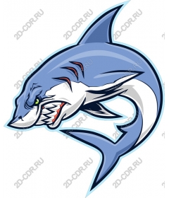  The art of ferocious sharks
