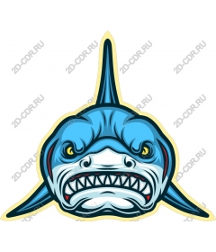 Head of a ferocious shark
