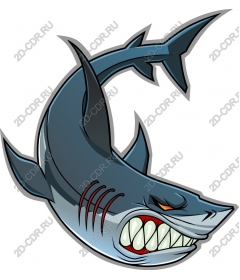  Ferocious Shark