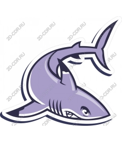  Stylized shark