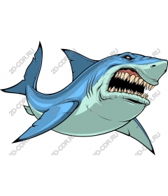  Ferocious Shark