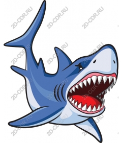  Fierce cartoon shark