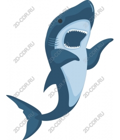 Ferocious Shark
