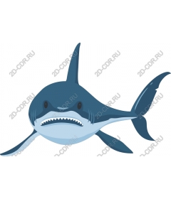  Ferocious Shark