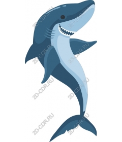 Shark Dynamic graphics of the ocean
