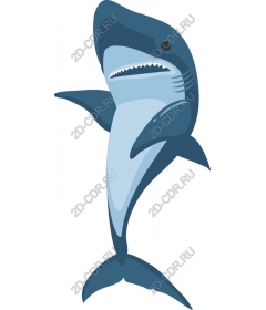  Stylized shark