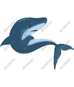  Stylized shark