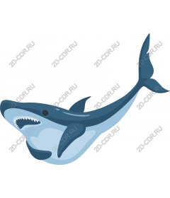 Shark