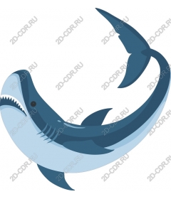  Oceanic predatory shark