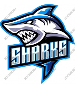  Ferocious Shark