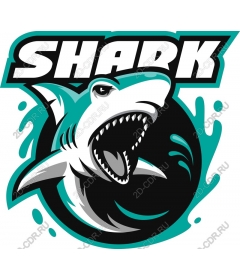  Ferocious Shark
