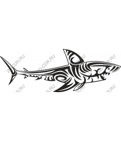  Tribal Shark