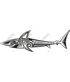  Tribal Shark