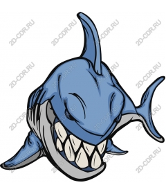 Ferocious Shark