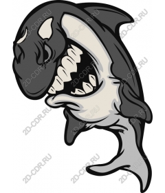  A playful shark cartoon