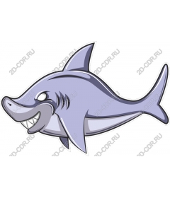  Stylized shark