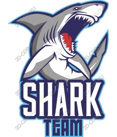  Team Sharks
