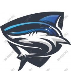 Dynamic Shark