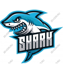  Ferocious Shark