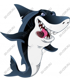  Cartoon shark