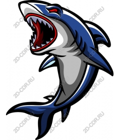  Ferocious Shark