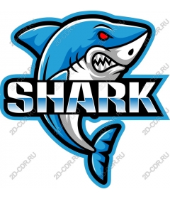  Ferocious Shark