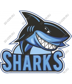 The shark symbol