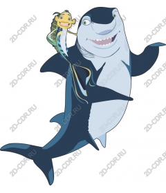 Friendly shark and fish