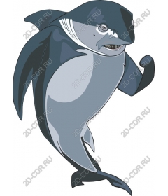  Fierce cartoon shark