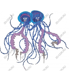 Quirky Duo jellyfish