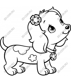  Adorable puppy