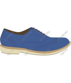  Stylish blue shoes