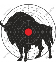  Target practice at Buffalo