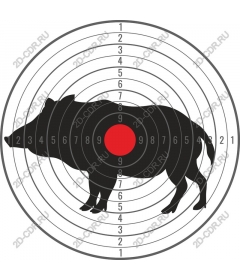  Objective: the Wild boar
