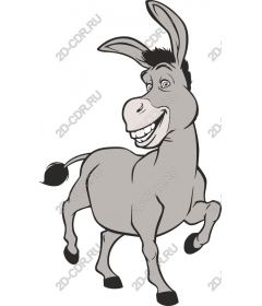  Bizarre ass
