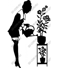 Garden elegance