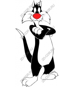  Bizarre cartoon cat