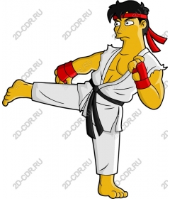 Karate fighter