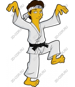  Bright practicing karate