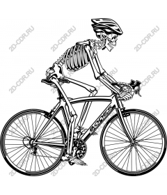  Skeleton biker