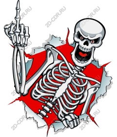  Bizarre breakthrough in the field of skeletons