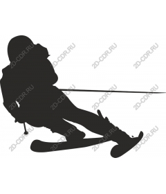 Dynamic skier