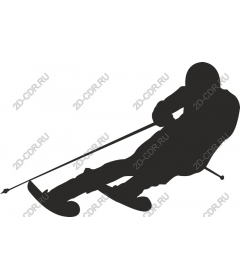 Dynamic skier